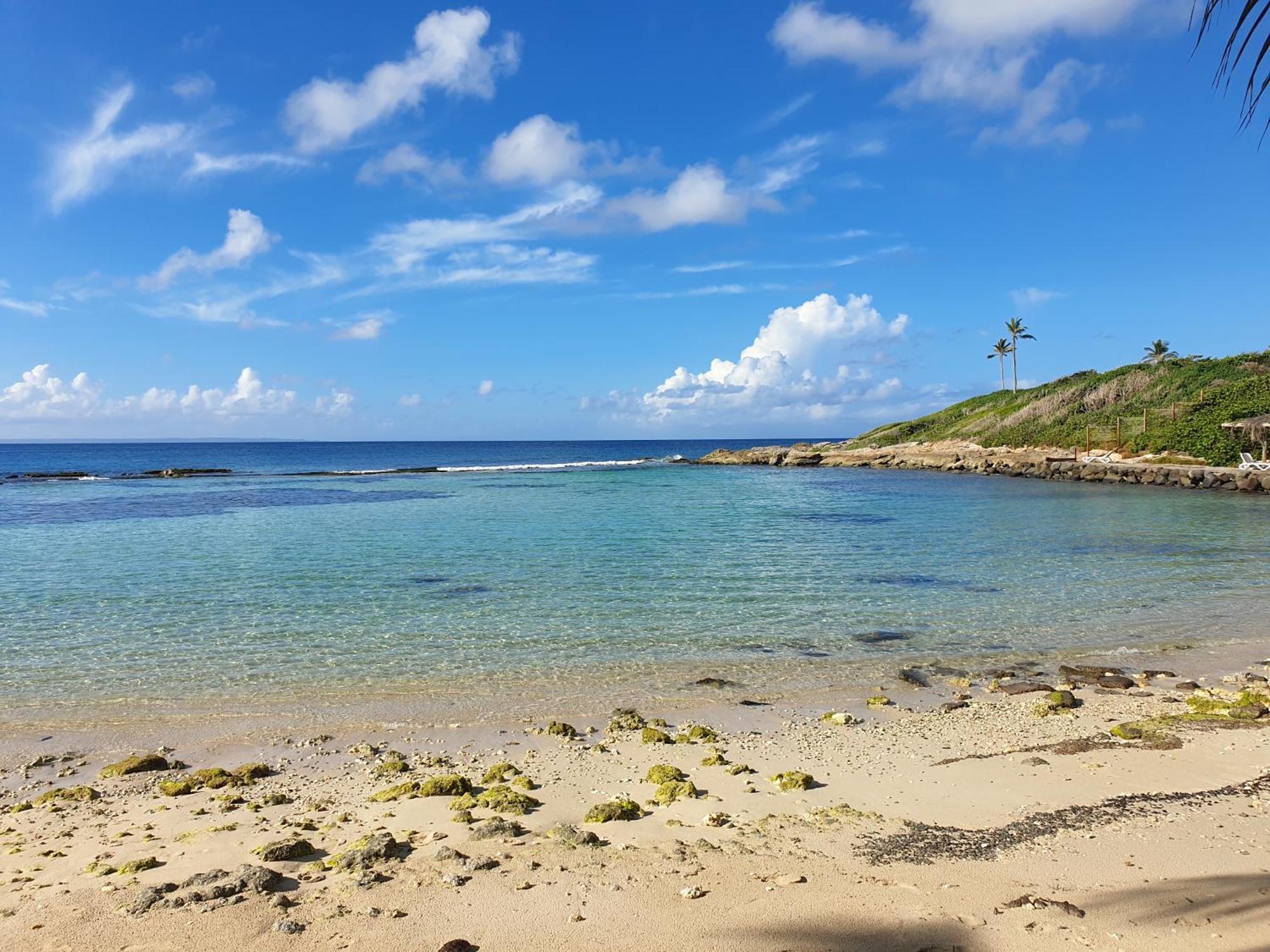 Apartmán Mango Goyave Saint-Francois  Exteriér fotografie